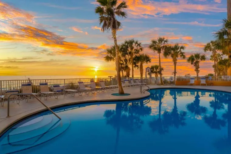 Beachfront pool deck framed by palms at sunset